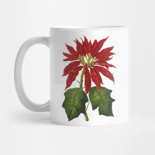 Vintage Christmas Poinsettia Plant Mug